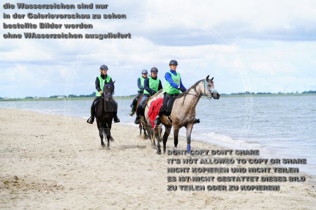 s_K3F05120.JPG